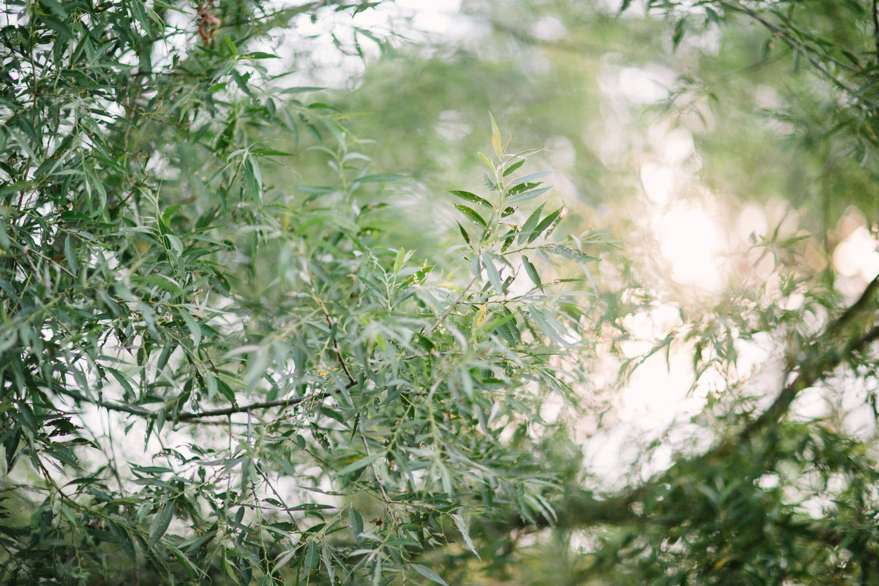 Romantic, Historic Montreal Wedding – Photo by Let's Frolic Together