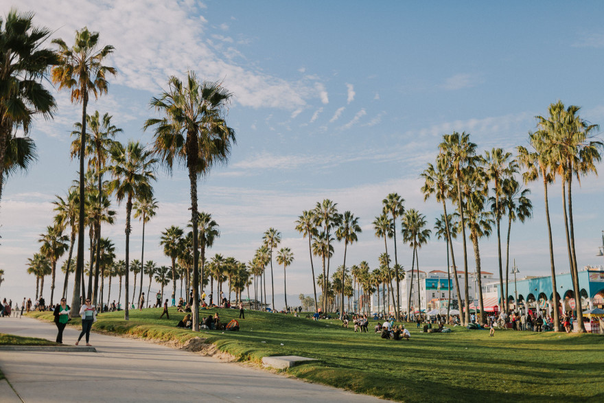 At Home in Venice Beach – Photo by Let's Frolic Together