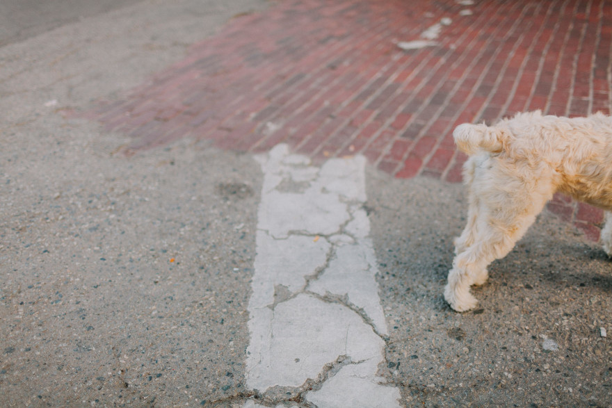 At Home in Venice Beach – Photo by Let's Frolic Together
