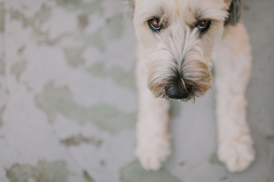 At Home in Venice Beach – Photo by Let's Frolic Together