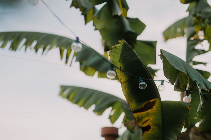 At Home in Venice Beach – Photo by Let's Frolic Together