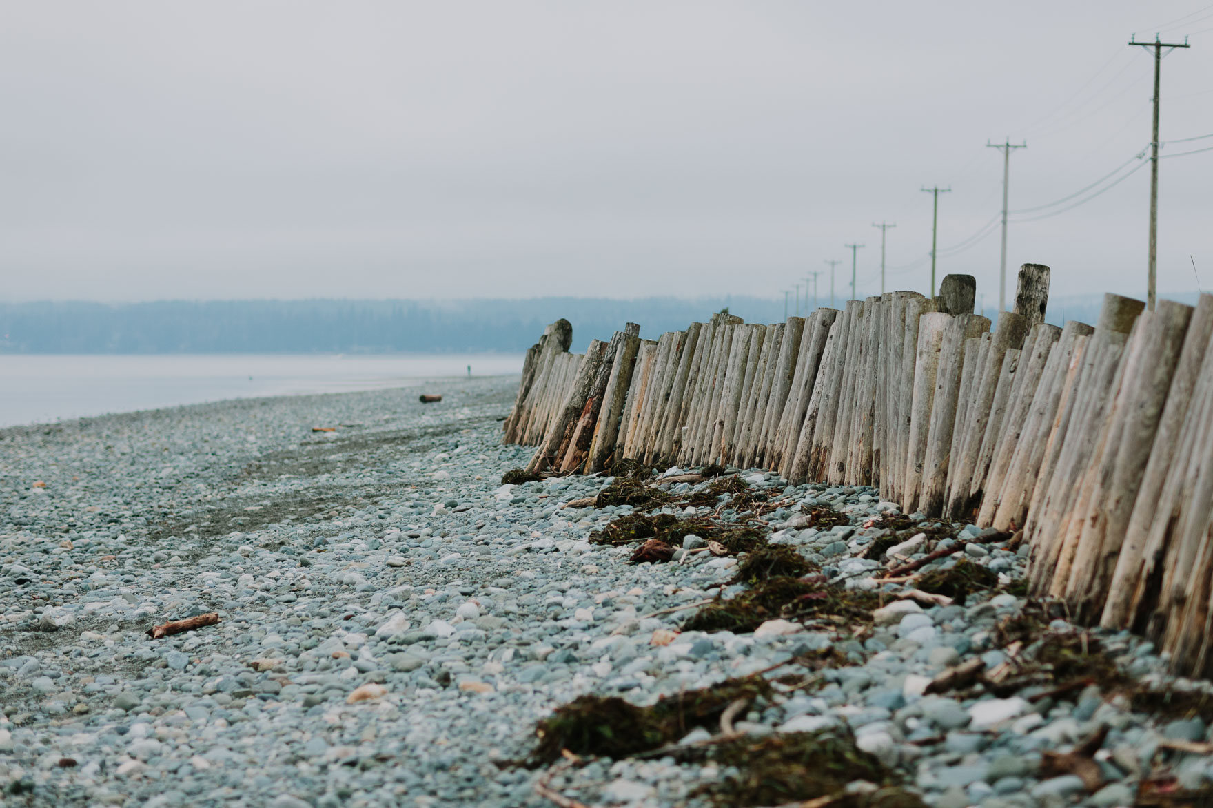 Pacific Northwest Brand Adventure – Photo by Let's Frolic Together