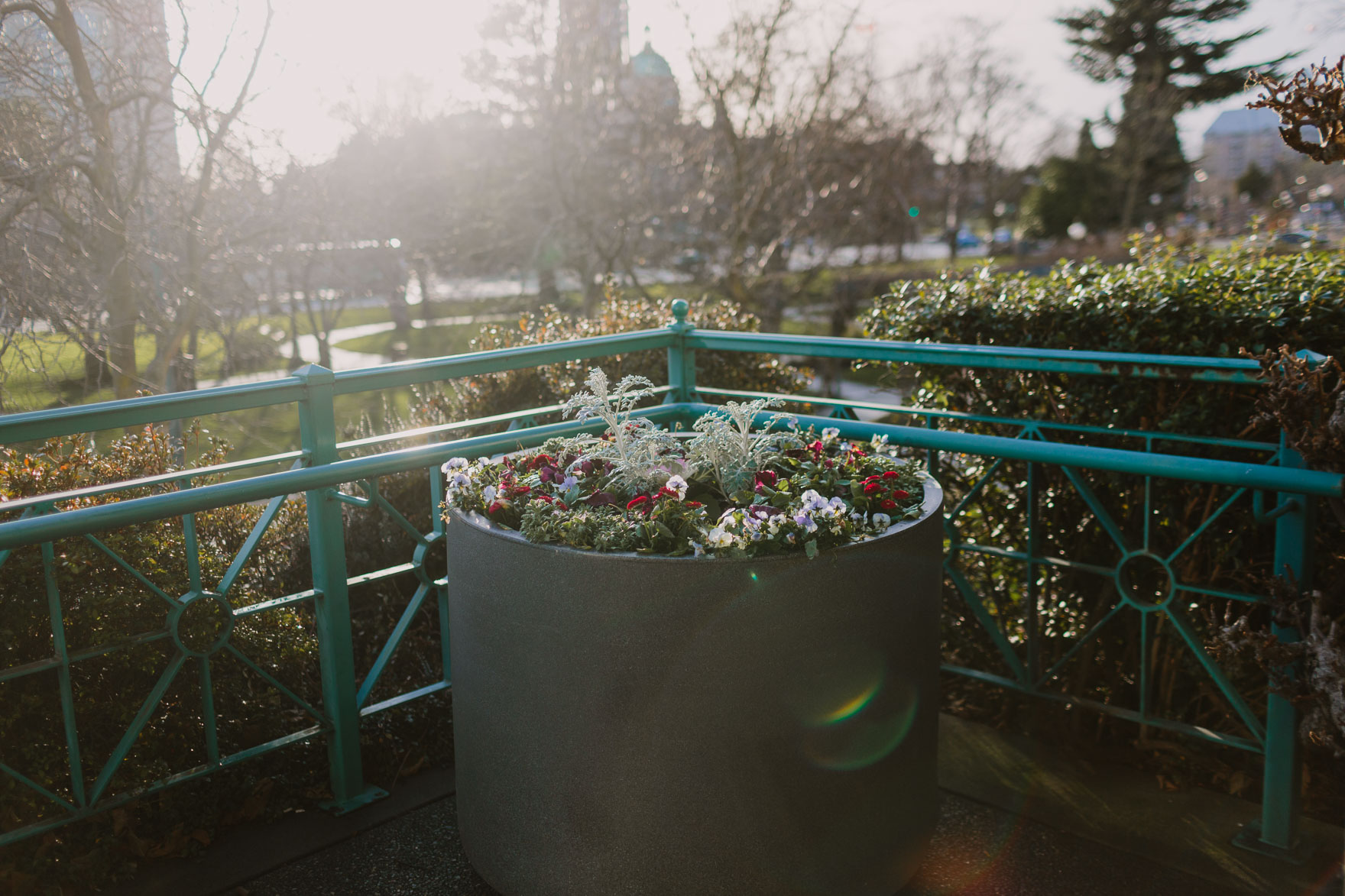 Pacific Northwest Brand Adventure – Photo by Let's Frolic Together