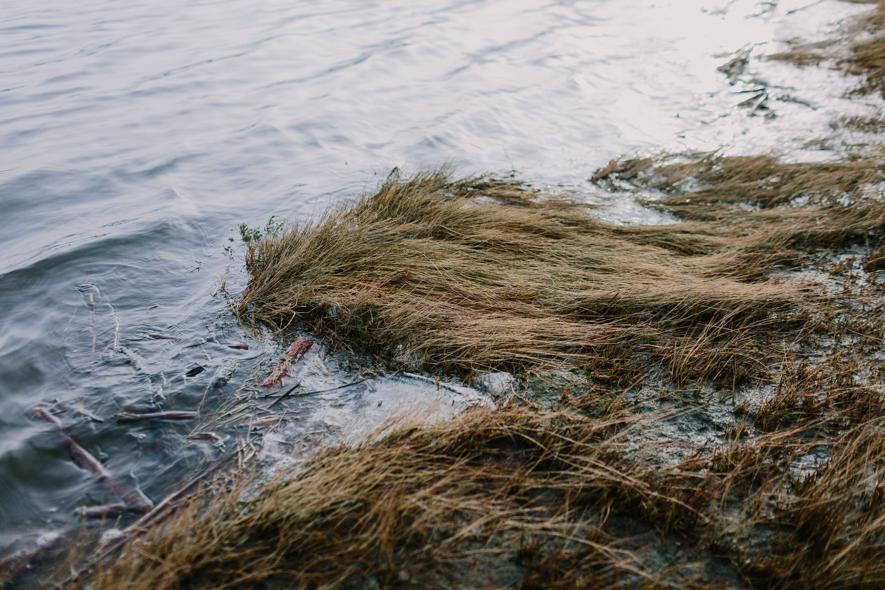 Pacific Northwest Brand Adventure – Photo by Let's Frolic Together