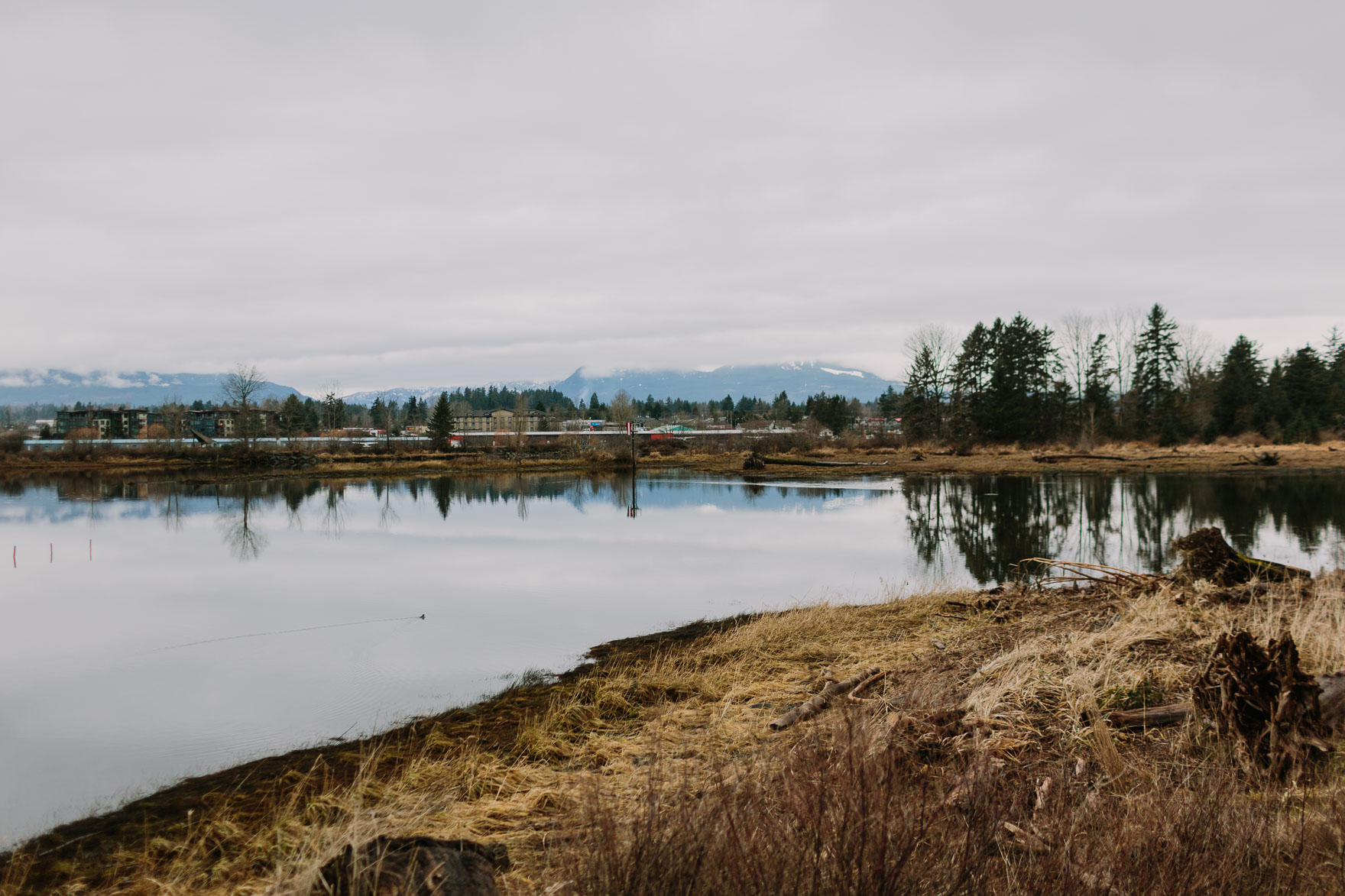 Pacific Northwest Brand Adventure – Photo by Let's Frolic Together