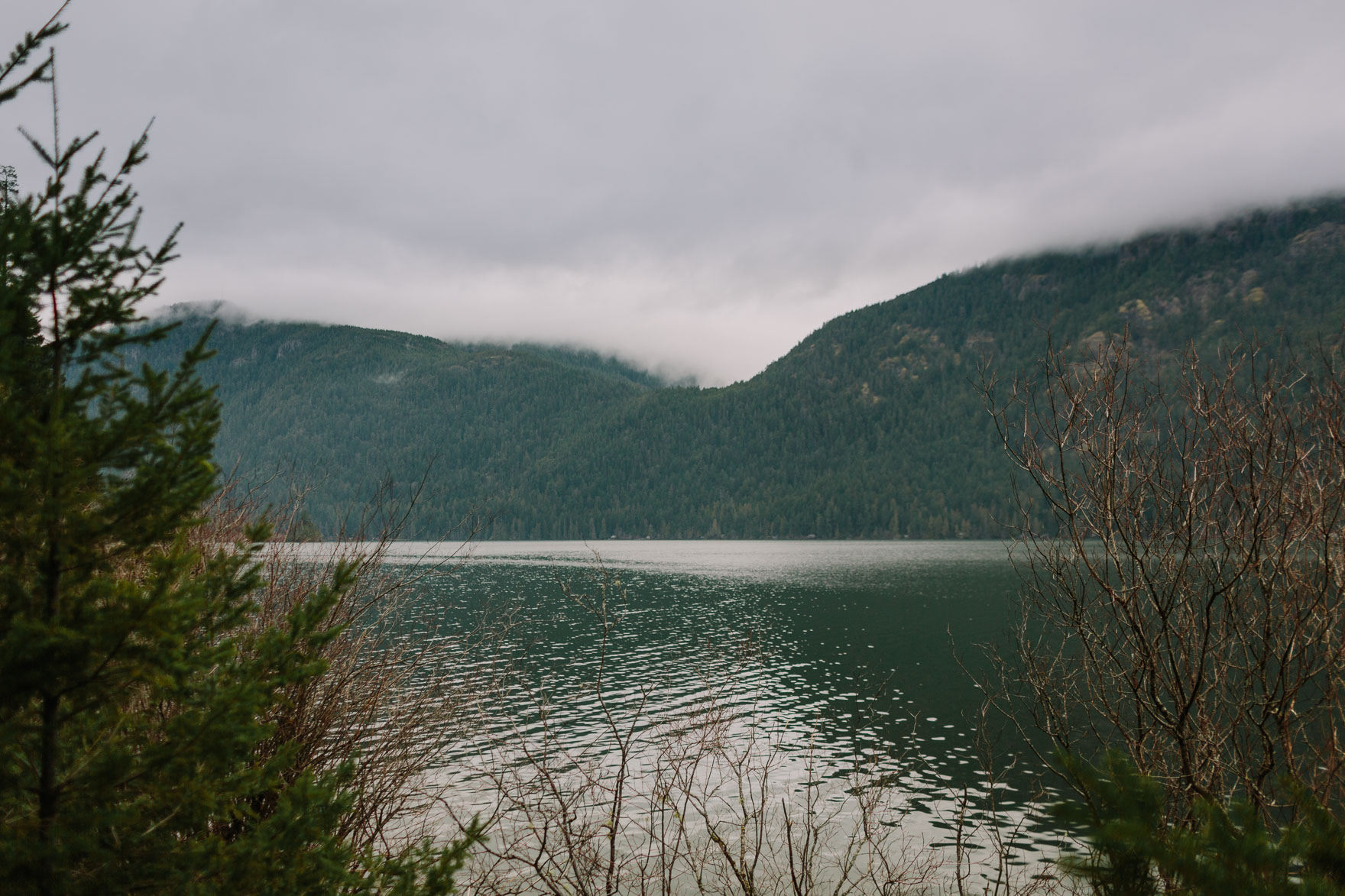 Pacific Northwest Brand Adventure – Photo by Let's Frolic Together