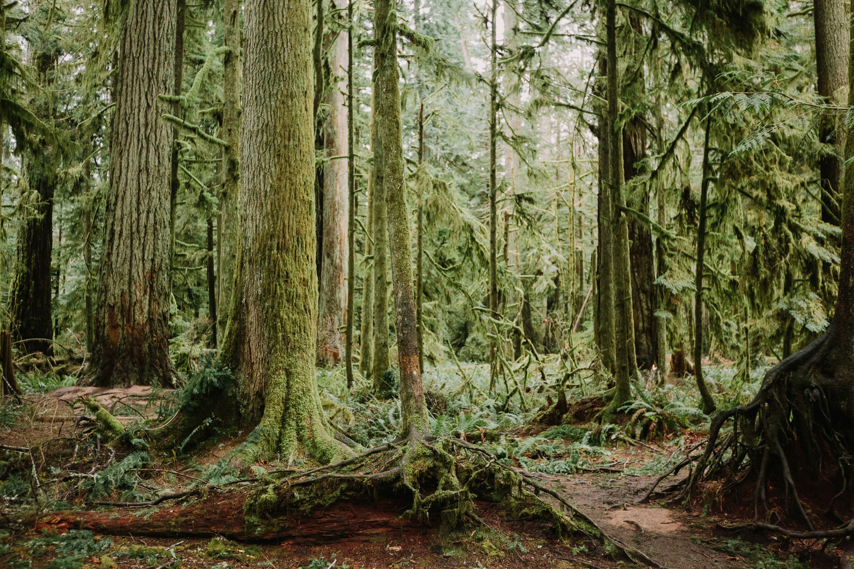 Pacific Northwest Brand Adventure – Photo by Let's Frolic Together