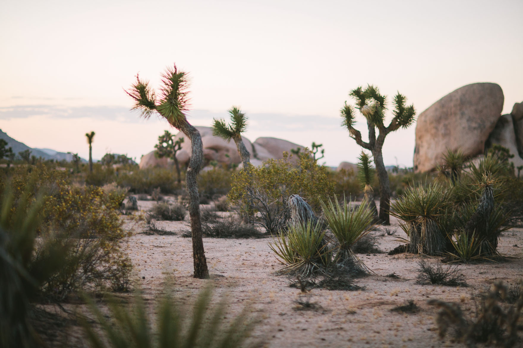 Desert Goddesses Fashion Editorial – Photo by Let's Frolic Together