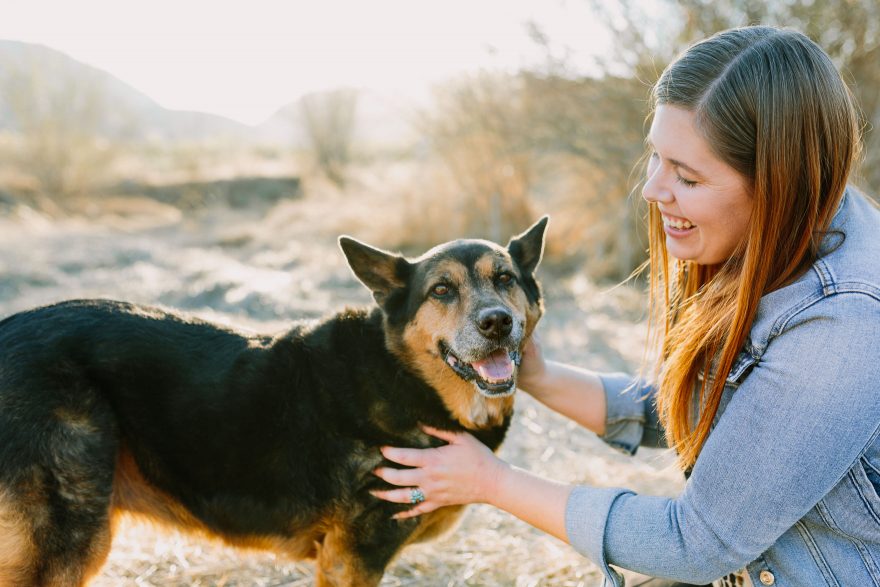 Golden Hour Puppy Snuggles – Photo by Let's Frolic Together
