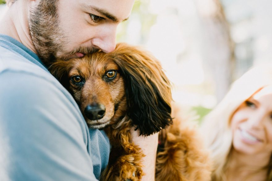 Venice Donuts & Dachshunds &ndash; Photo by Let's Frolic Together