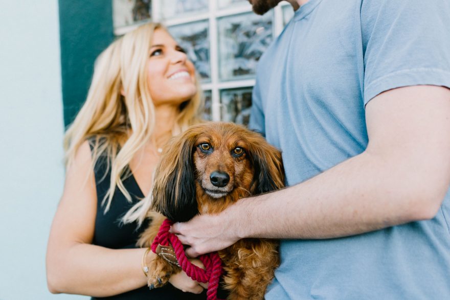 Venice Donuts & Dachshunds &ndash; Photo by Let's Frolic Together