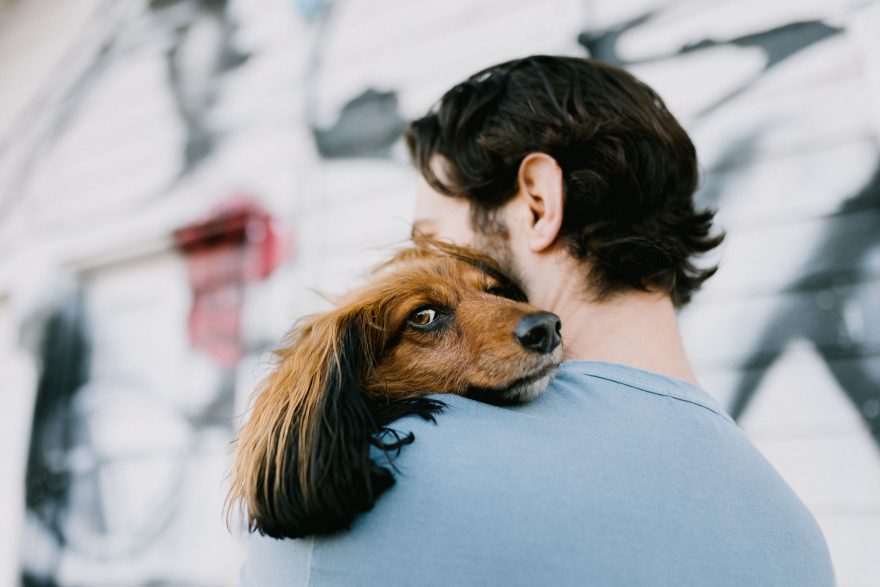 Venice Donuts & Dachshunds &ndash; Photo by Let's Frolic Together