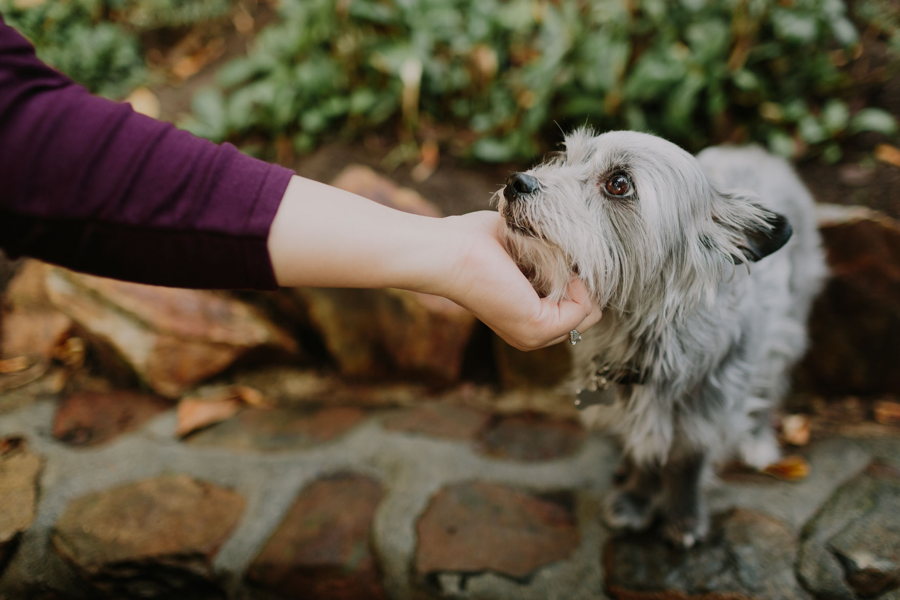 Timeless & Tender in Balboa Park – Photo by Let's Frolic Together