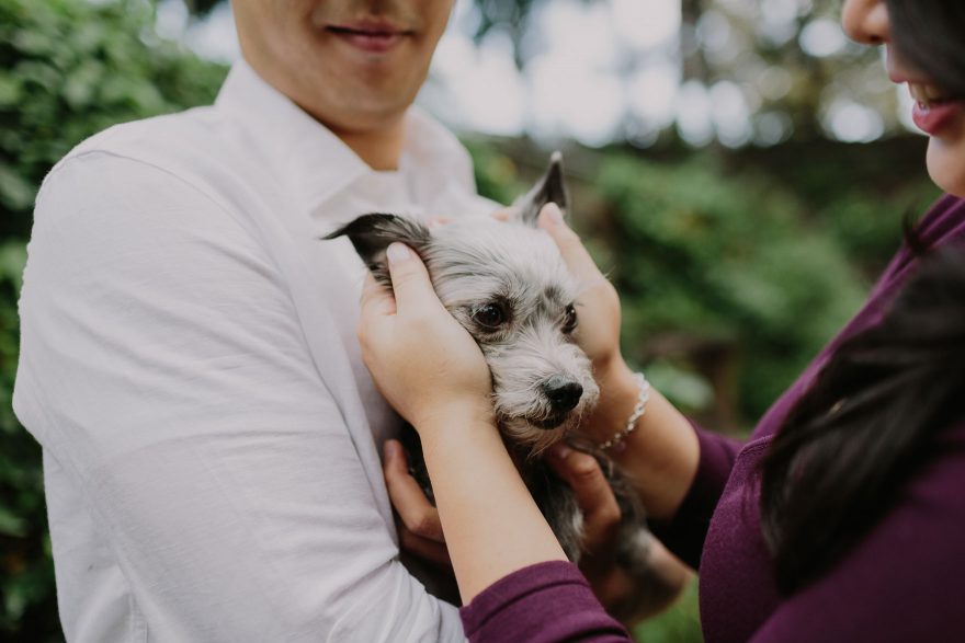Timeless & Tender in Balboa Park – Photo by Let's Frolic Together