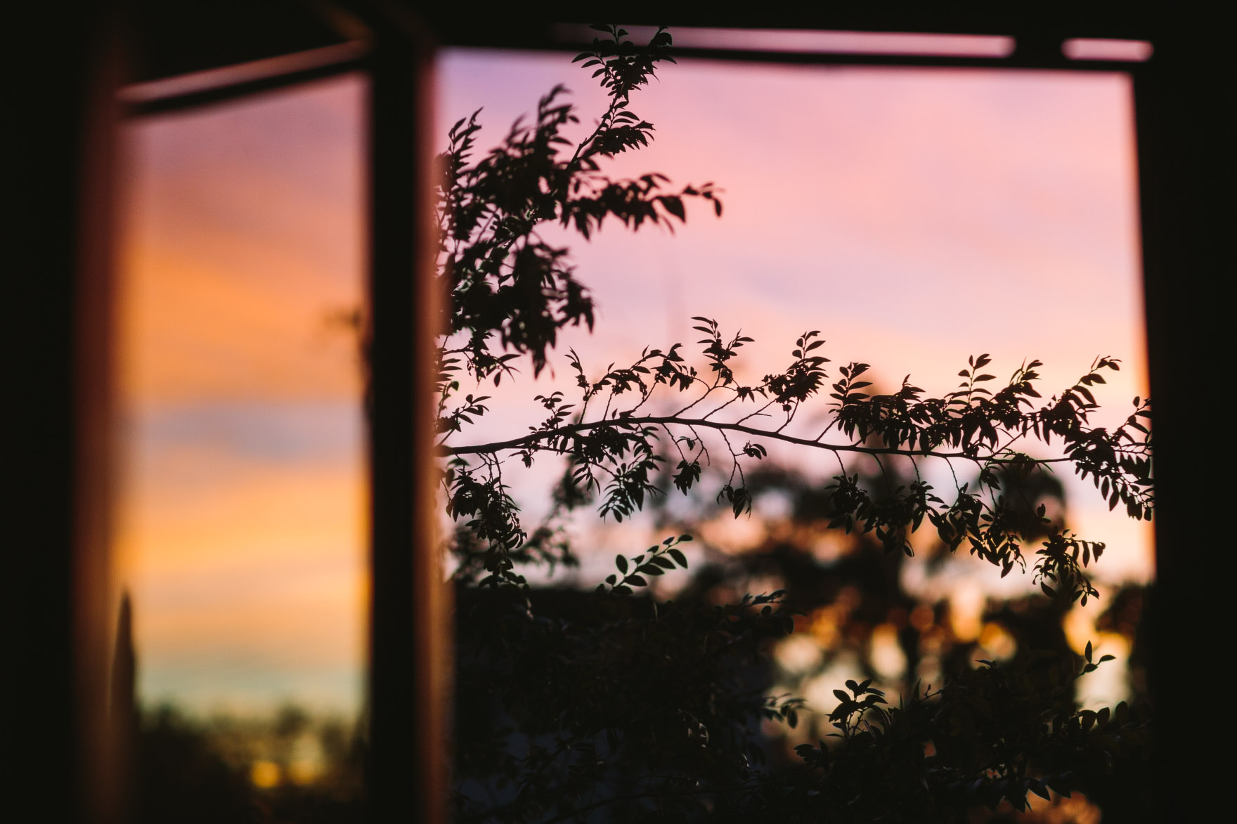 Fruit Pies and Sunset Skies – Photo by Let's Frolic Together