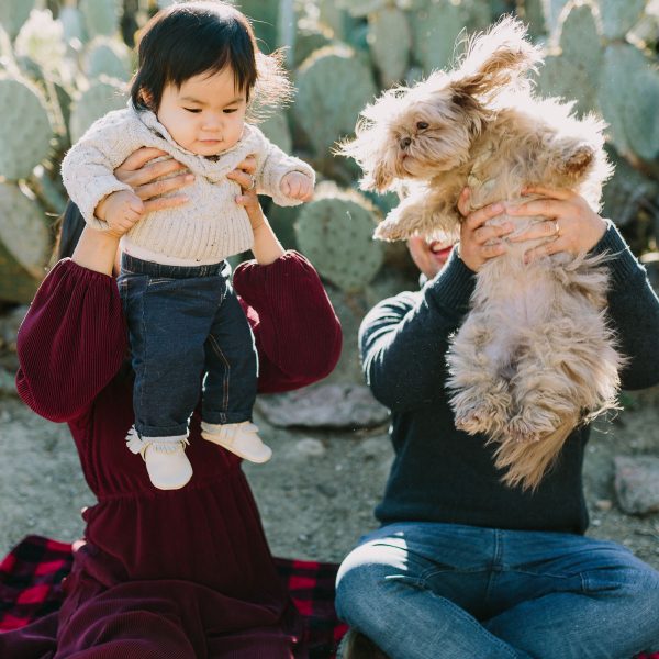 Cactus Garden Family Cuddles &ndash; Photo by Let's Frolic Together