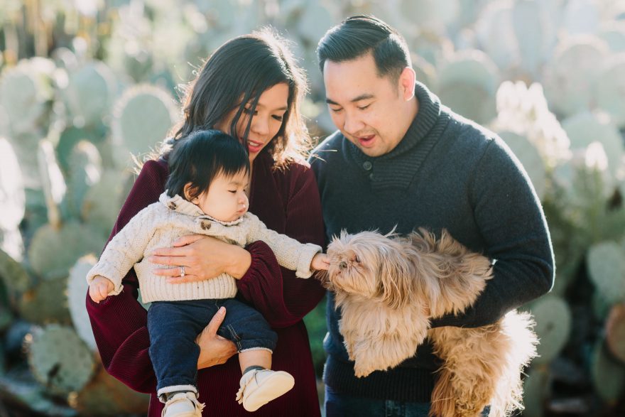 Cactus Garden Family Cuddles – Photo by Let's Frolic Together