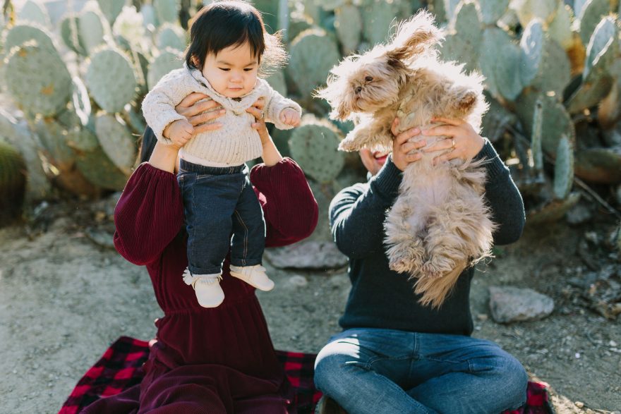 Cactus Garden Family Cuddles – Photo by Let's Frolic Together