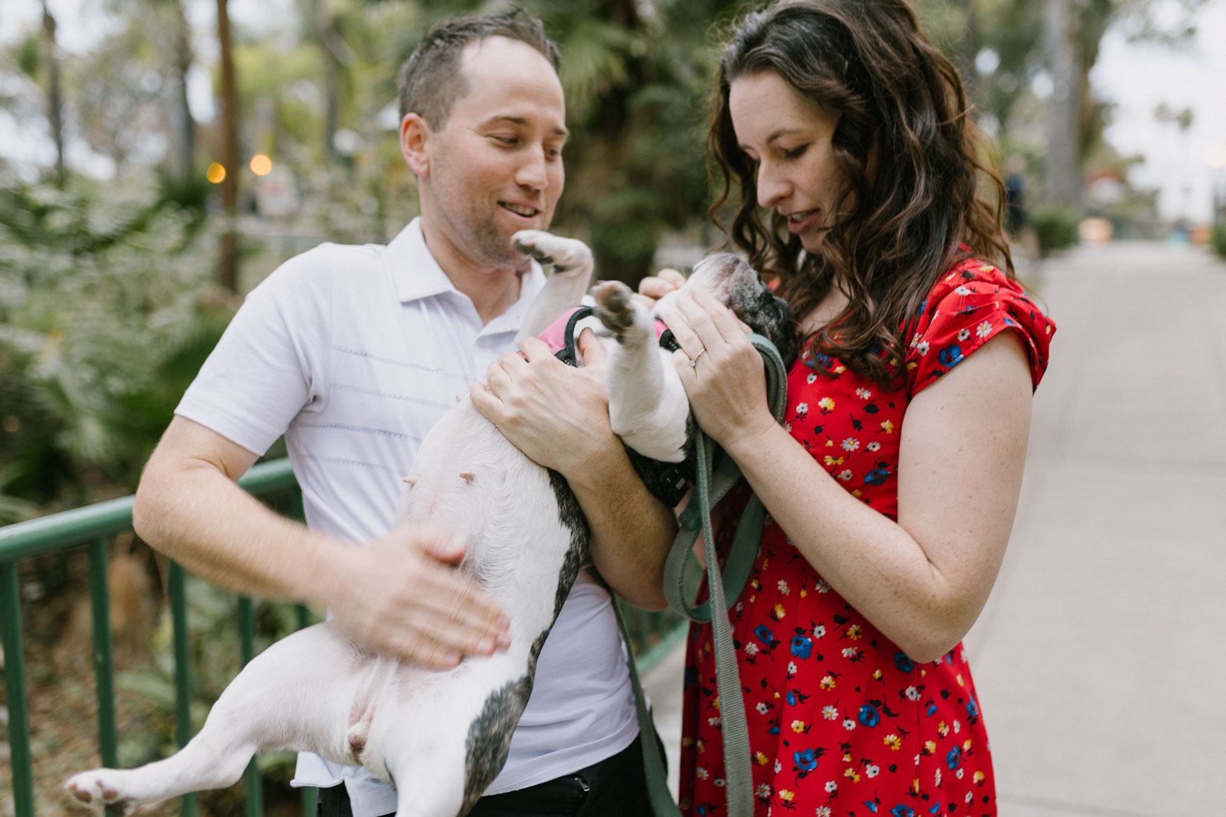 Neighborhood Wanders with Pup – Photo by Let's Frolic Together