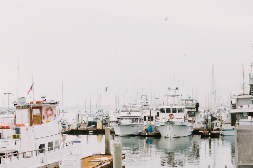 Boats & Newborn Baby Bliss &ndash; Photo by Let's Frolic Together