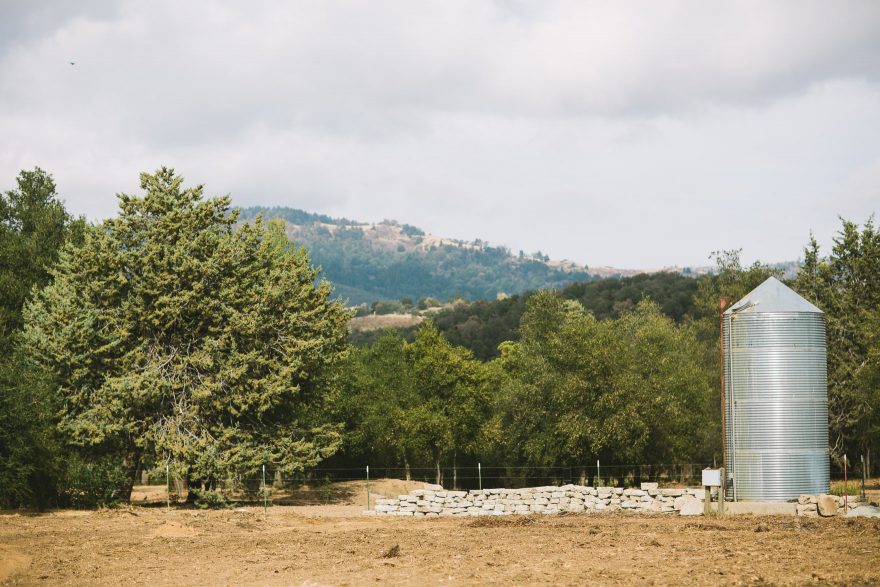 Autumnal Apple Pie in Julian – Photo by Let's Frolic Together