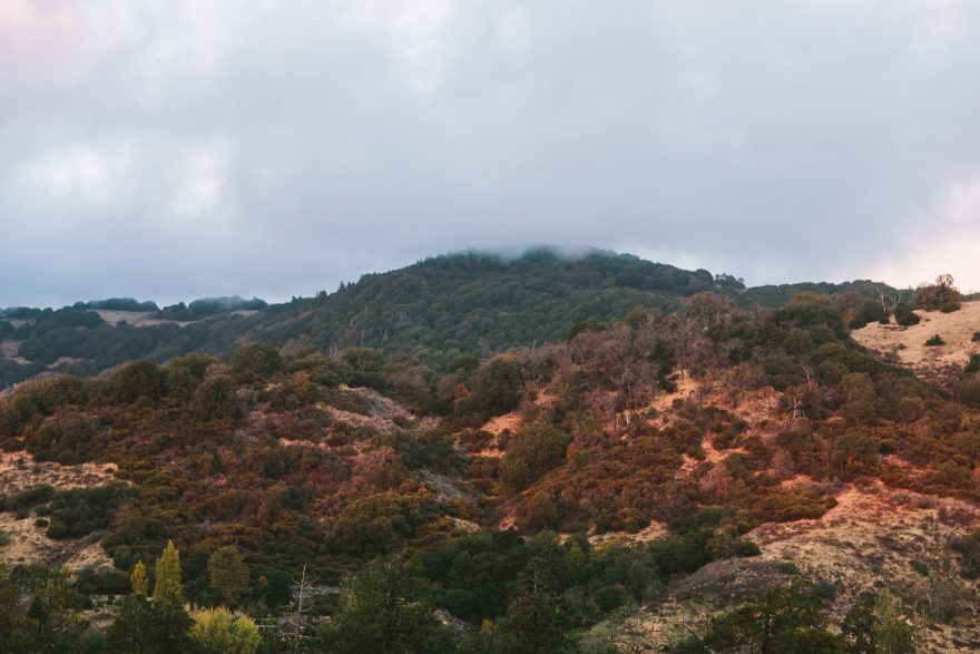 Autumnal Apple Pie in Julian – Photo by Let's Frolic Together