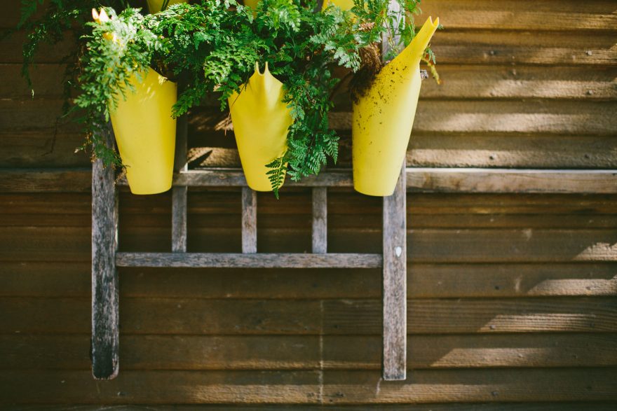 Rustic Brunch and Topiaries &ndash; Photo by Let's Frolic Together