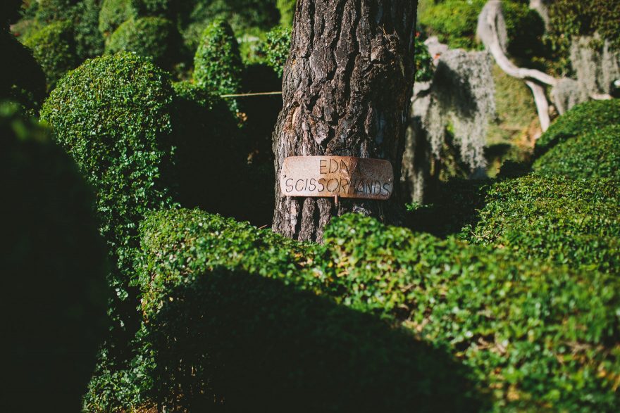 Rustic Brunch and Topiaries &ndash; Photo by Let's Frolic Together