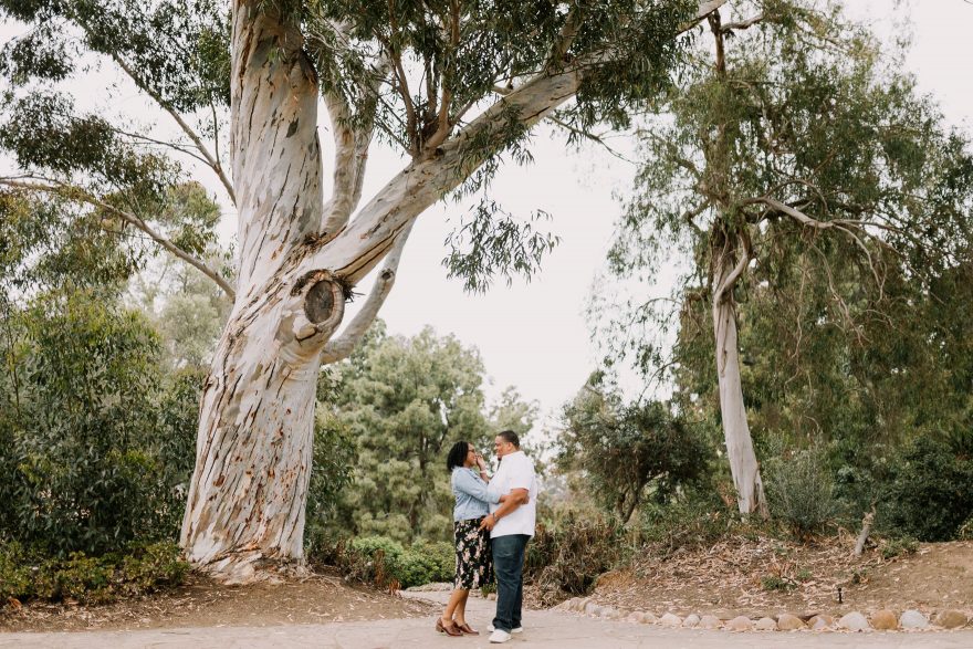 A Milestone Wander in the Park &ndash; Photo by Let's Frolic Together