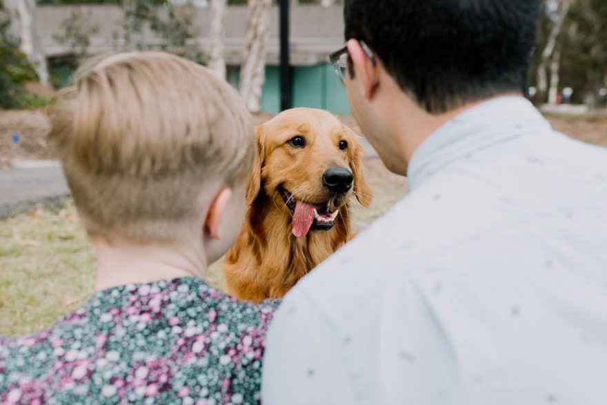 Science and Retriever Snuggles &ndash; Photo by Let's Frolic Together
