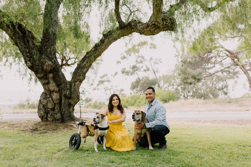 A Special Pups Family Session &ndash; Photo by Let's Frolic Together