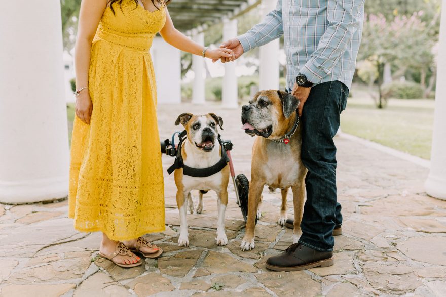 A Special Pups Family Session &ndash; Photo by Let's Frolic Together
