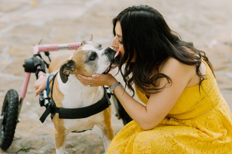A Special Pups Family Session &ndash; Photo by Let's Frolic Together
