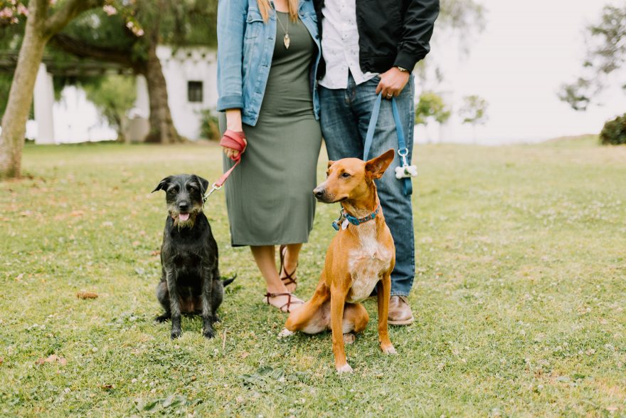 Jill, Jesse, and the Playful Puppies &ndash; Photo by Let's Frolic Together