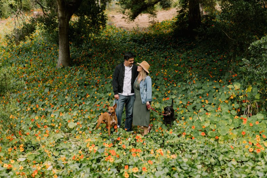 Jill, Jesse, and the Playful Puppies &ndash; Photo by Let's Frolic Together