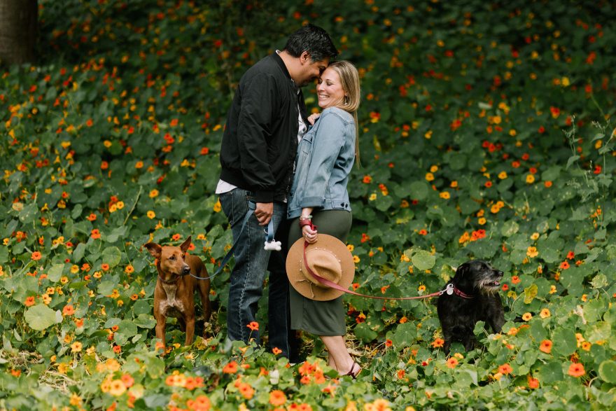 Jill, Jesse, and the Playful Puppies &ndash; Photo by Let's Frolic Together