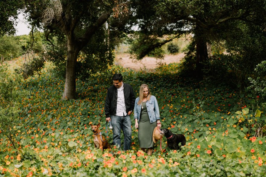 Jill, Jesse, and the Playful Puppies &ndash; Photo by Let's Frolic Together