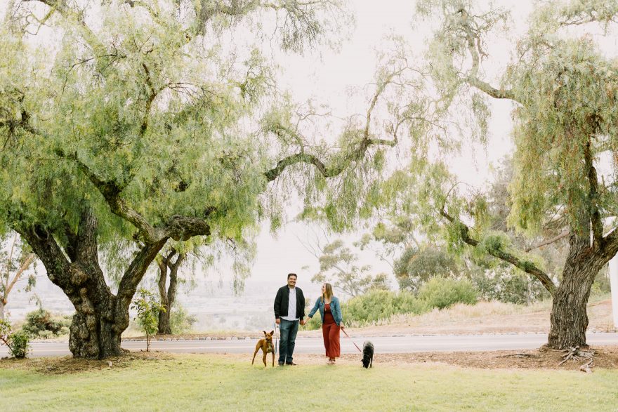 Jill, Jesse, and the Playful Puppies &ndash; Photo by Let's Frolic Together