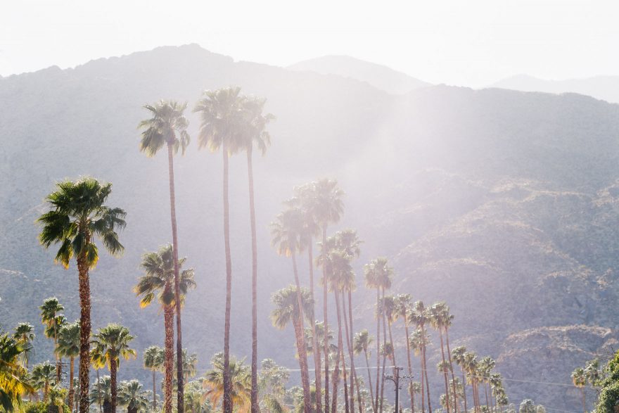 Chill Ace Vibes in Palm Springs – Photo by Let's Frolic Together