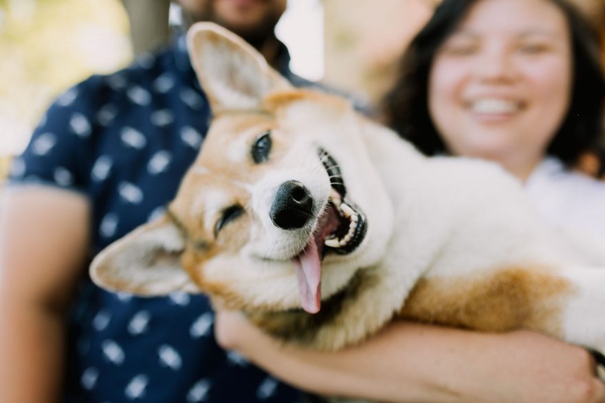 Yummy Cocktails & Corgi Love – Photo by Let's Frolic Together