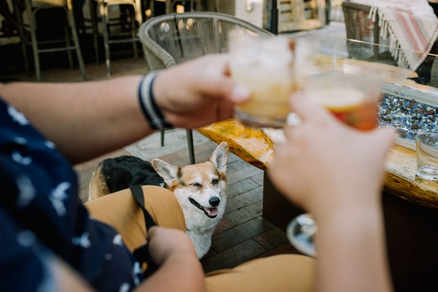 Yummy Cocktails & Corgi Love – Photo by Let's Frolic Together