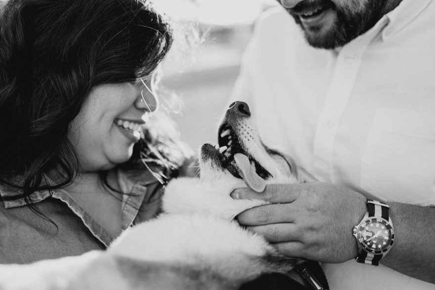 Yummy Cocktails & Corgi Love – Photo by Let's Frolic Together