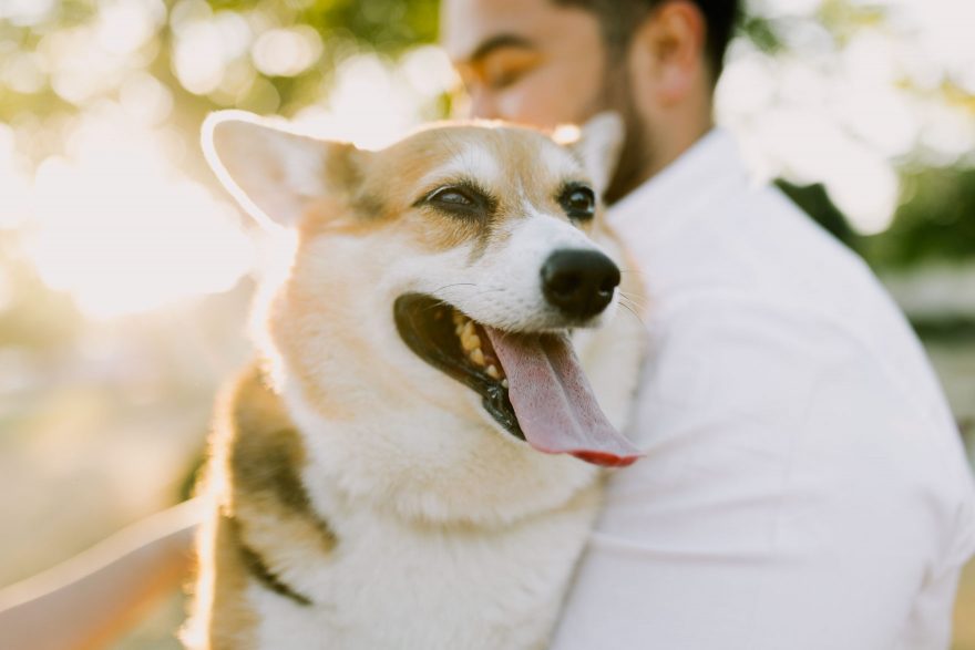 Yummy Cocktails & Corgi Love – Photo by Let's Frolic Together