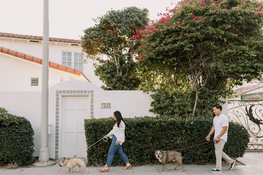 Four-Legged La Jolla Splashing – Photo by Let's Frolic Together