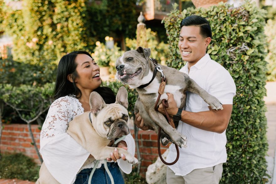 Four-Legged La Jolla Splashing – Photo by Let's Frolic Together
