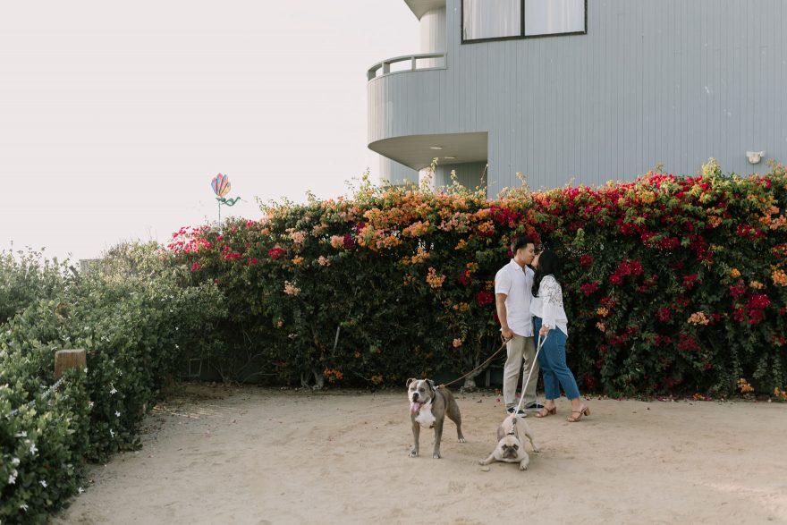 Four-Legged La Jolla Splashing – Photo by Let's Frolic Together