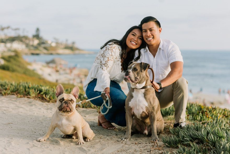 Four-Legged La Jolla Splashing – Photo by Let's Frolic Together