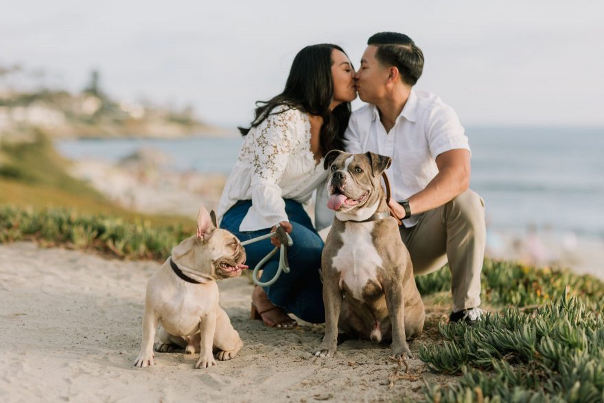 Four-Legged La Jolla Splashing – Photo by Let's Frolic Together