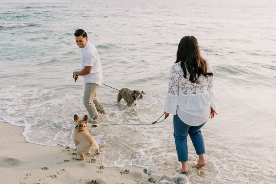 Four-Legged La Jolla Splashing – Photo by Let's Frolic Together