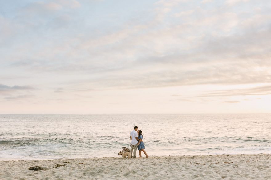Four-Legged La Jolla Splashing – Photo by Let's Frolic Together